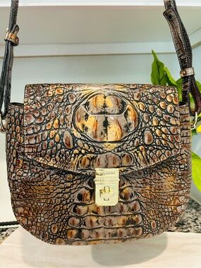 Brahmin Fall Tortoise Lizzie